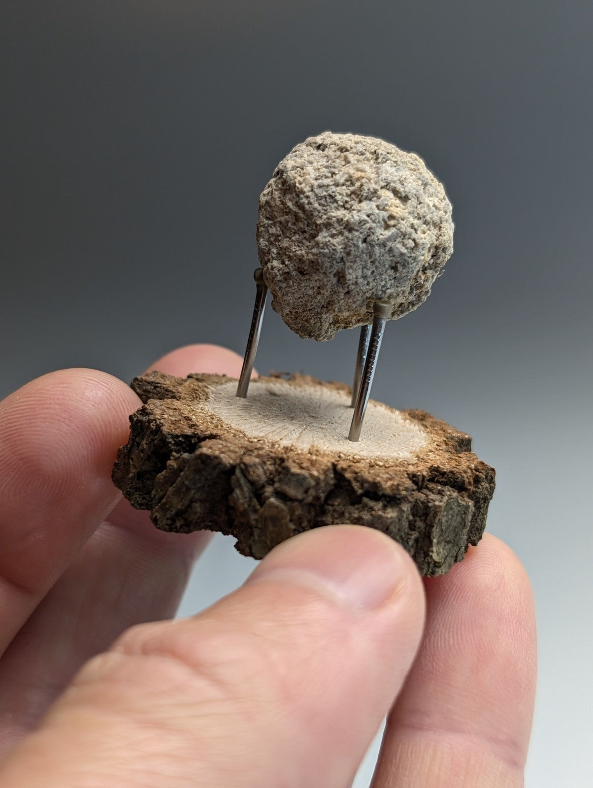 Pseudoleucite, Magnet Cove, Hot Spring County, Arkansas, Old Stock, w/wood stand