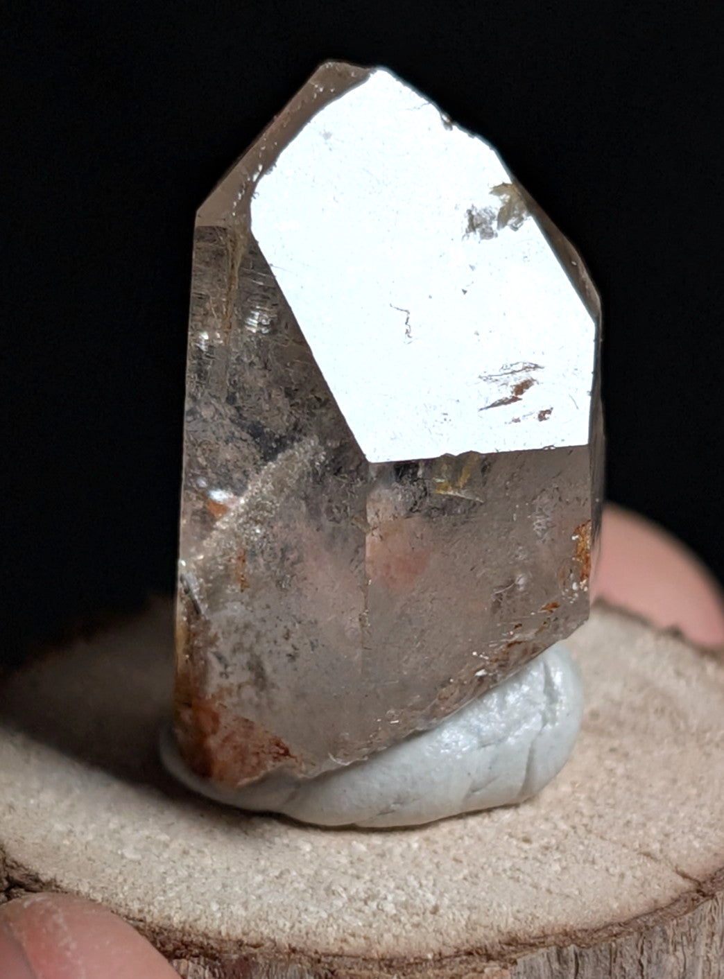 A+ Phantom Quartz, Old Stock, Montgomery County, Arkansas, w/ natural wood base