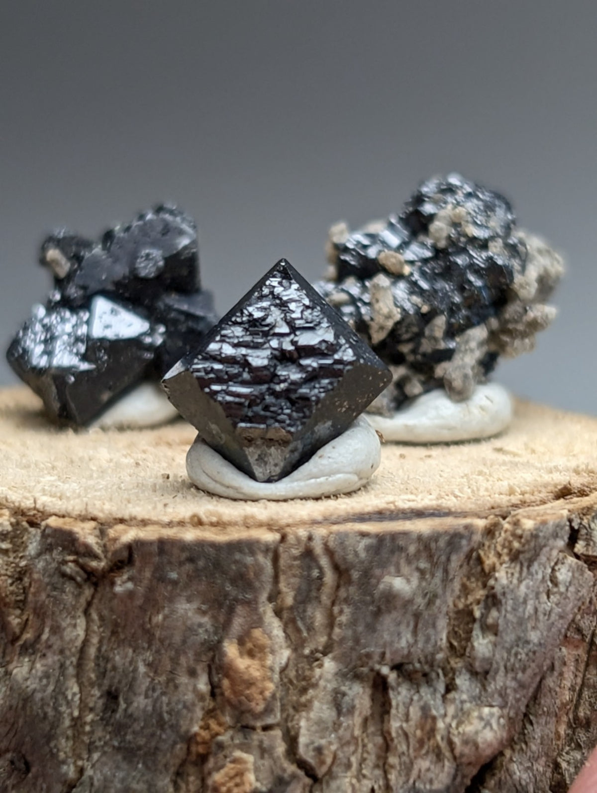 Set of 3 Brookite + Smoky Quartz, Magnet Cove, Arkansas, Old Stock, + wood stand