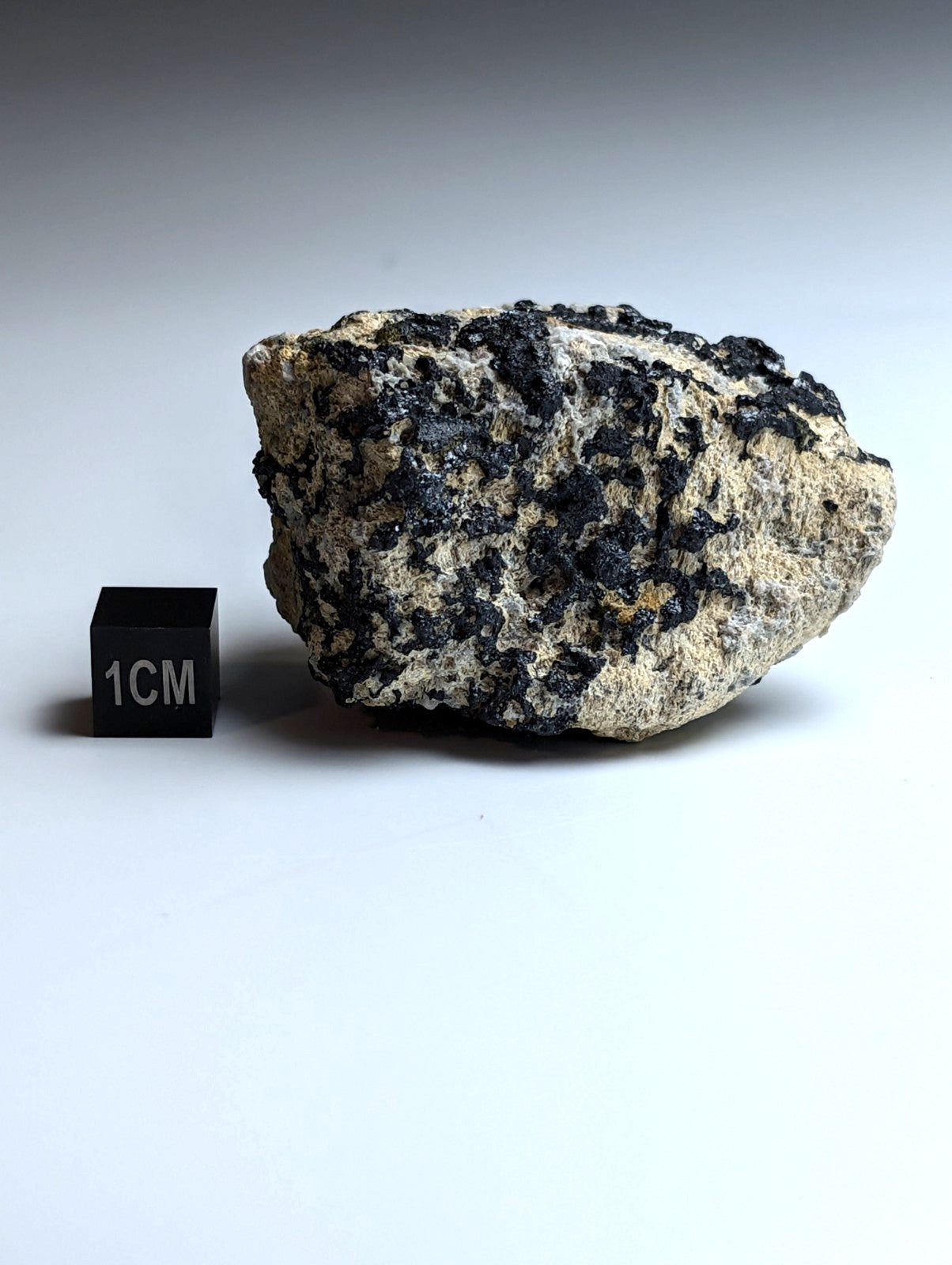 Garnet on Syenite matrix, Magnet Cove, Hot Spring County, Arkansas, Old Stock