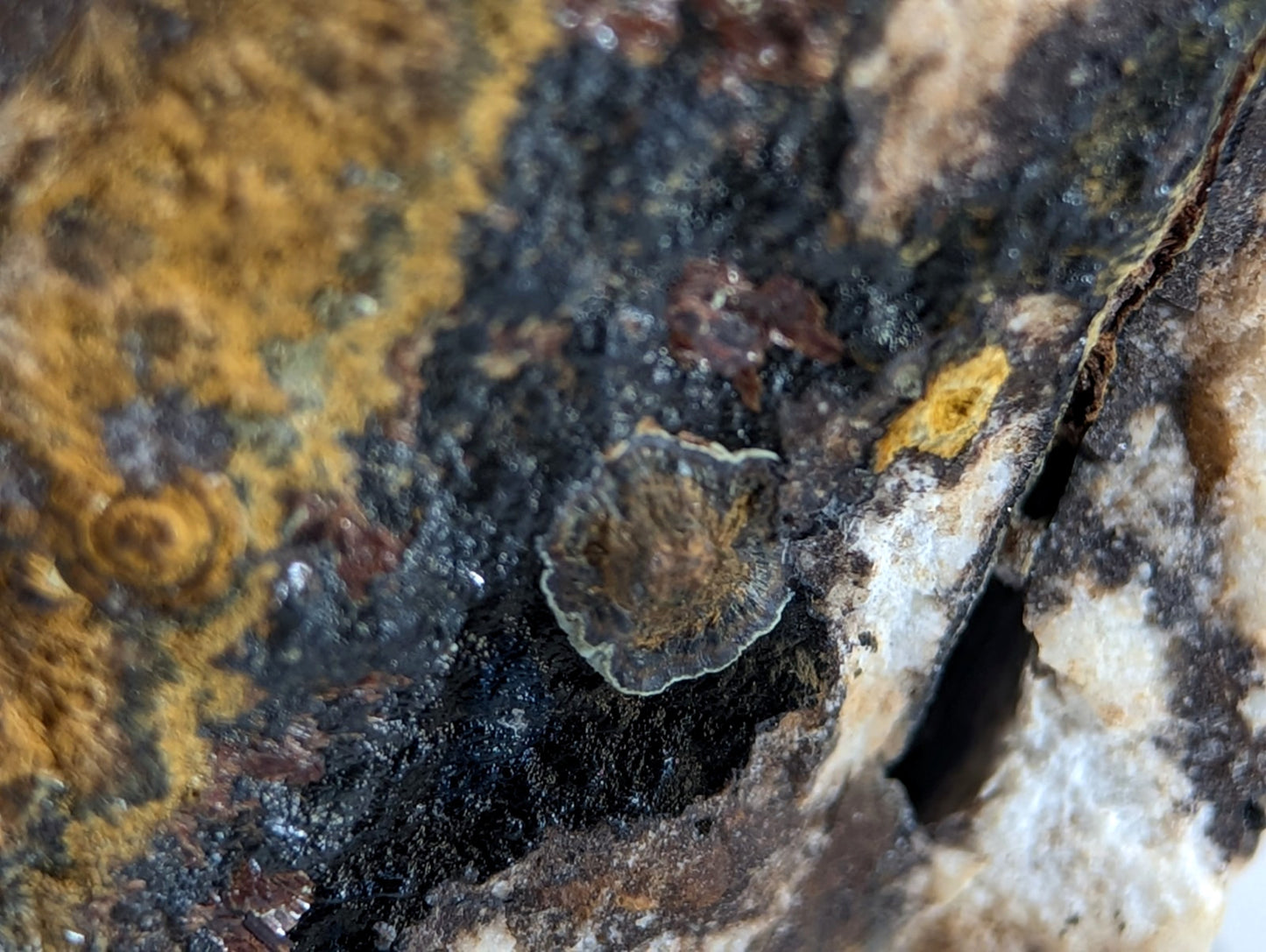 Super Rare Strengite + Kidwellite, etc, Coon Creek Mine, Polk Co, Arkansas, A+++
