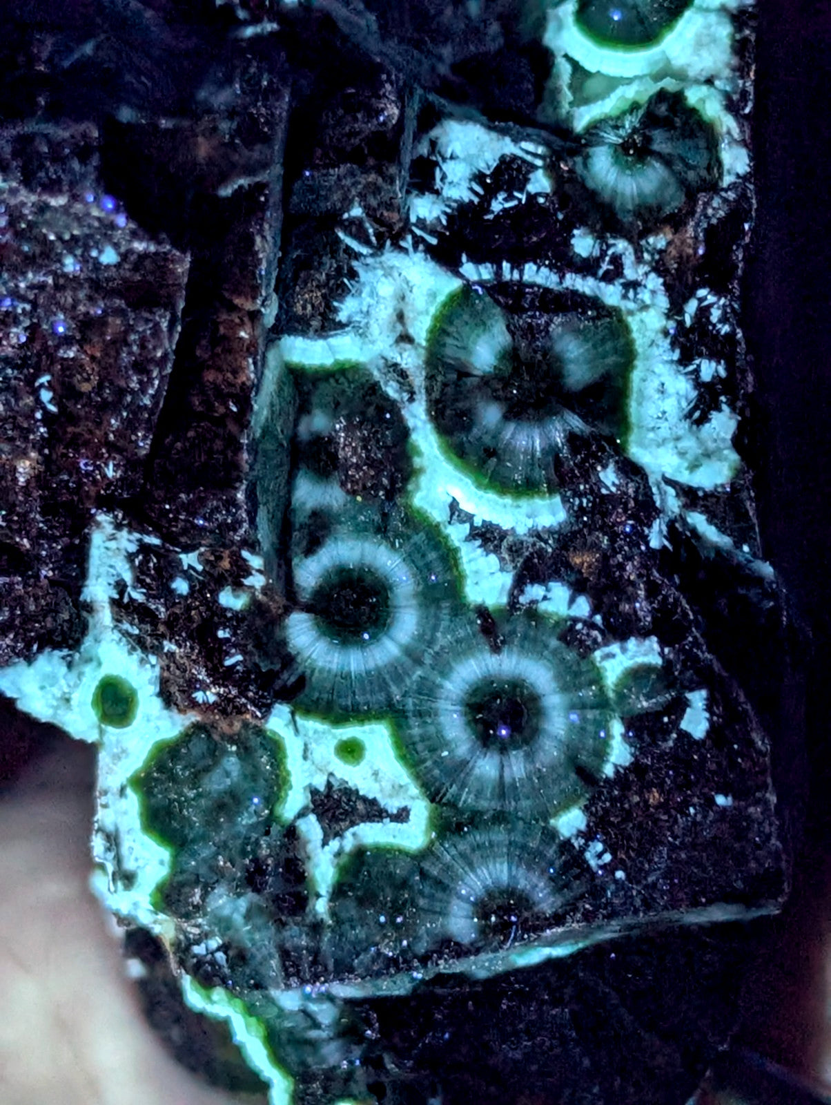 A+++ UV Reactive Wavellite -Old Stock- Mauldin Mountain, Arkansas, USA, RARE!