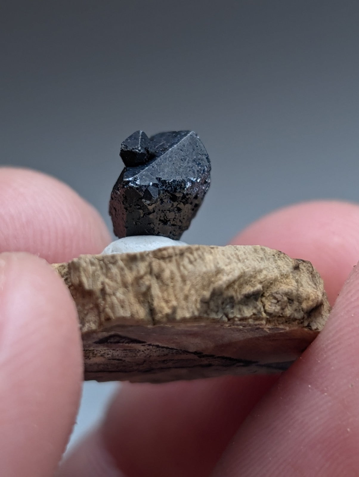 A+ Brookite Crystal, Magnet Cove, Arkansas, Old Stock, + wood stand