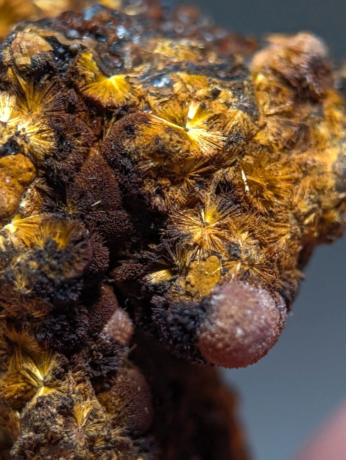 VERY RARE Strengite + Cacoxenite- Coon Creek, Polk County, Arkansas