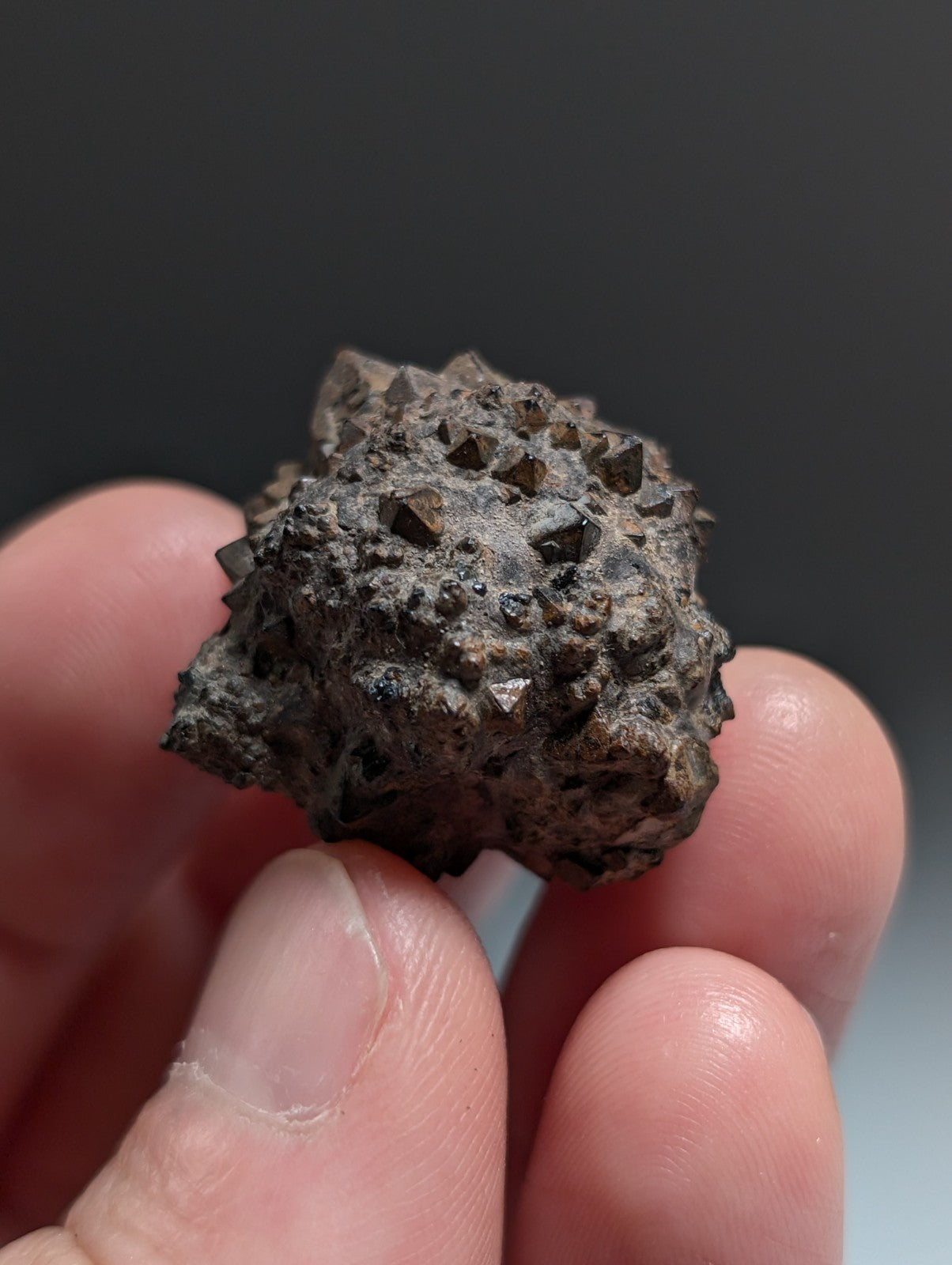 Limonite & Pyrite Pseudomorph, Benton County, Arkansas,  Ex Henry Delinde!