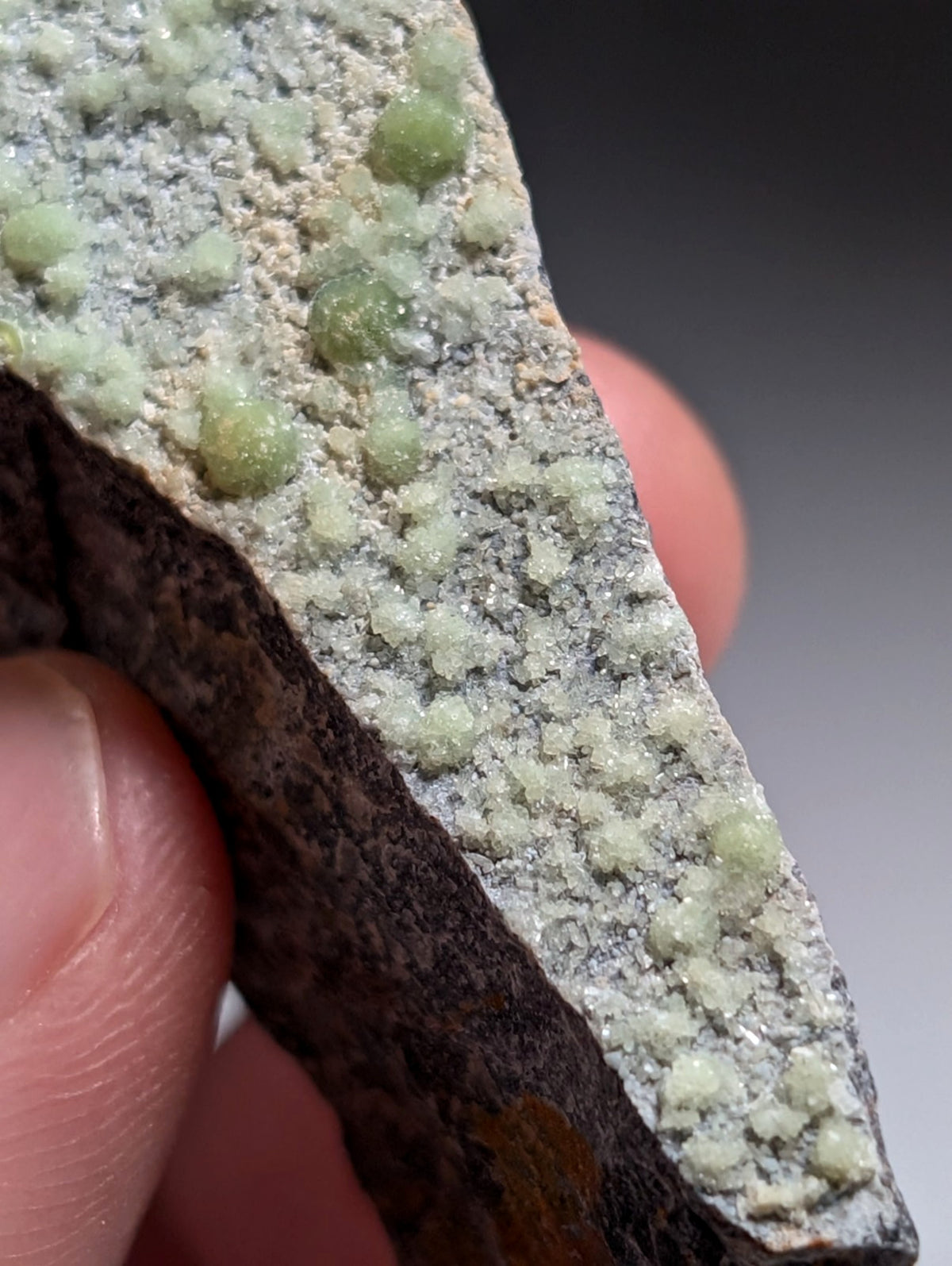 Wavellite cluster - Fantastic Old Stock - Mauldin Mountain, Arkansas, USA