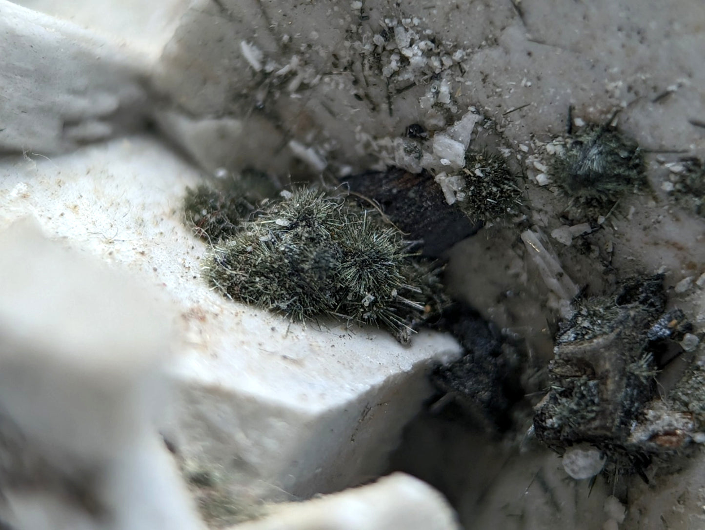 Albite, Biotite, Aegerine, Analcime, 3M Quarry, Little Rock, Arkansas, Delinde!