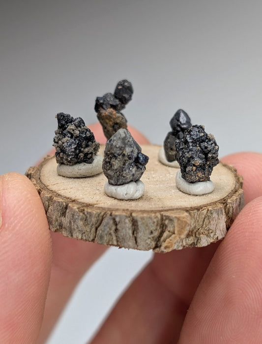 Set of 5 Brookite + Smoky Quartz, Magnet Cove, Arkansas, Old Stock, + wood stand