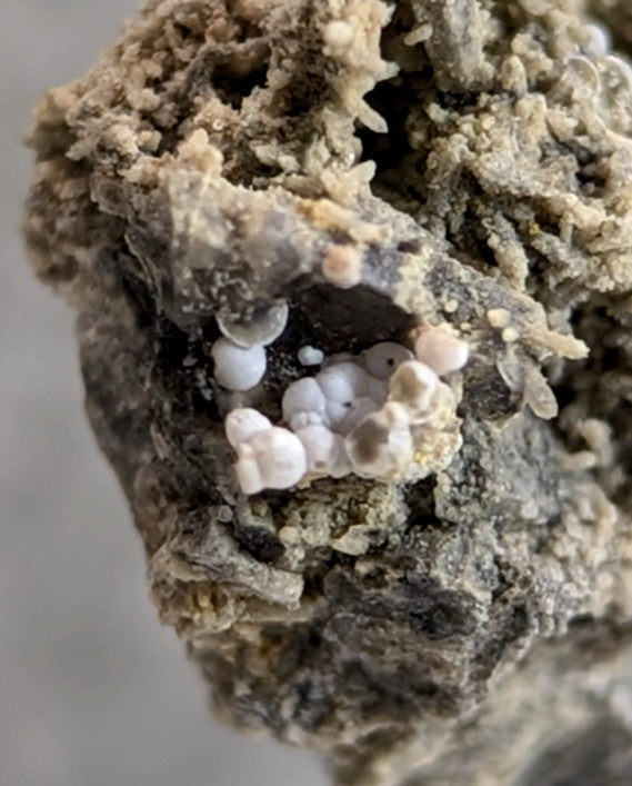 Wavellite - Christy Pit, Magnet Cove, Hot Spring County Arkansas, ex Howard,RARE