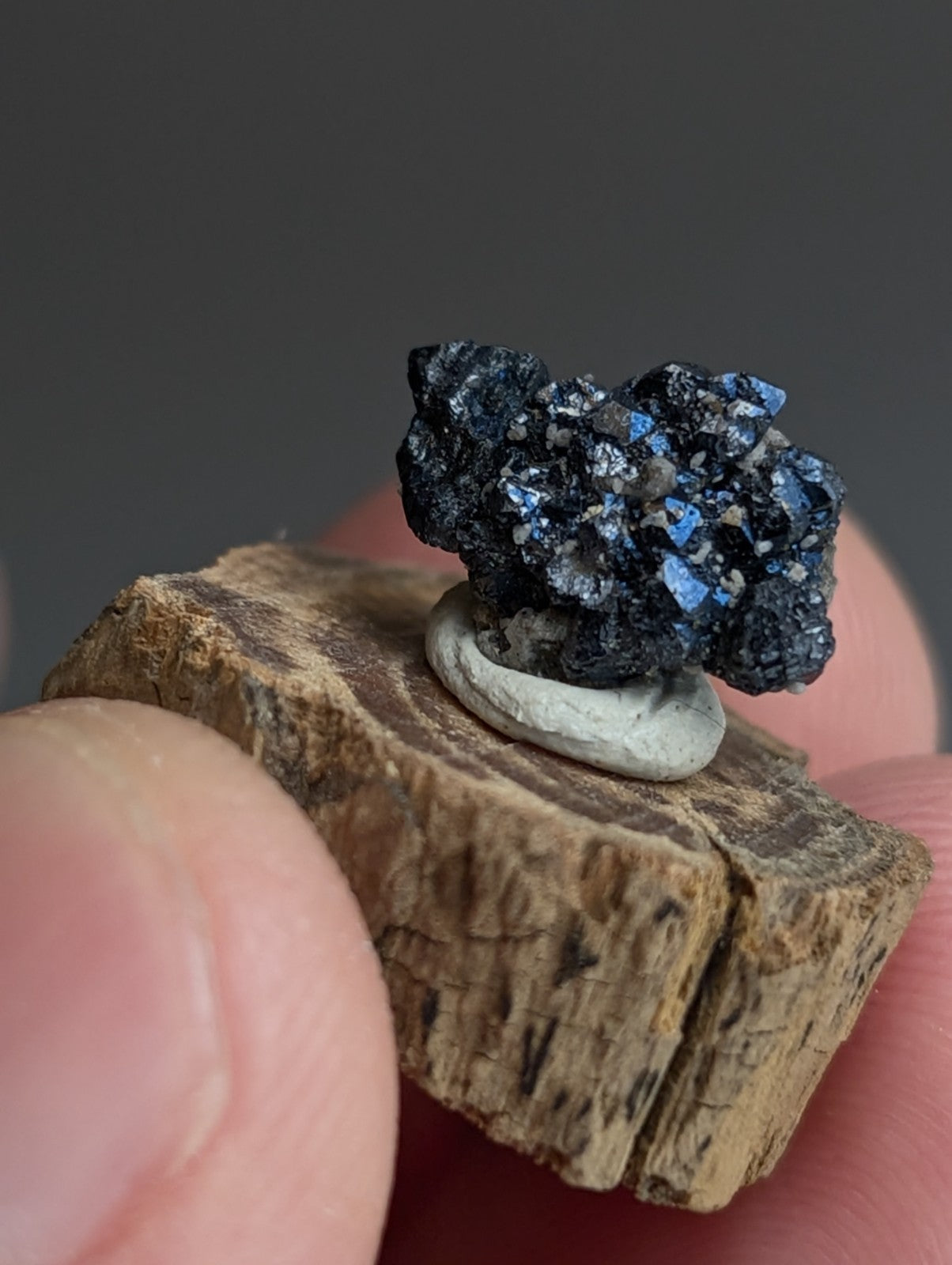 A+ Unique Brookite Crystal, Magnet Cove, Arkansas, Old Stock, + wood stand