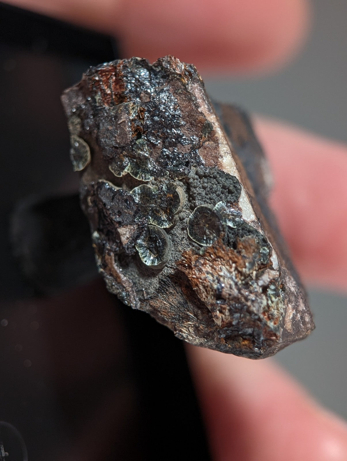 Rare Kidwellite on Novaculite - Coon Creek, Polk County, Arkansas, w/ photo case