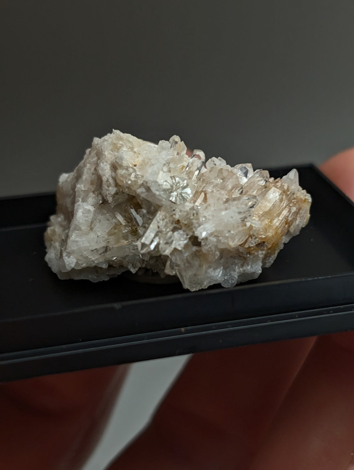Cookeite on Quartz Crystal, Saline County, Arkansas, Old Stock, w/ photo case