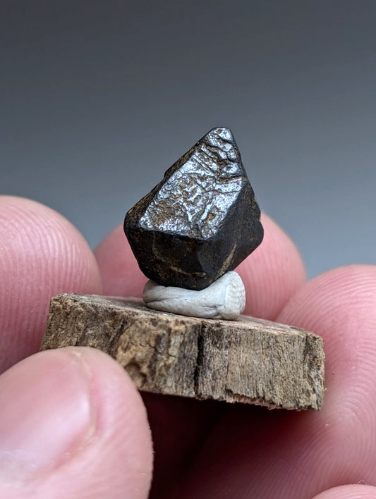 Magnetite Crystal, Magnet Cove Igneous Complex, Arkansas, Old Stock, +wood stand
