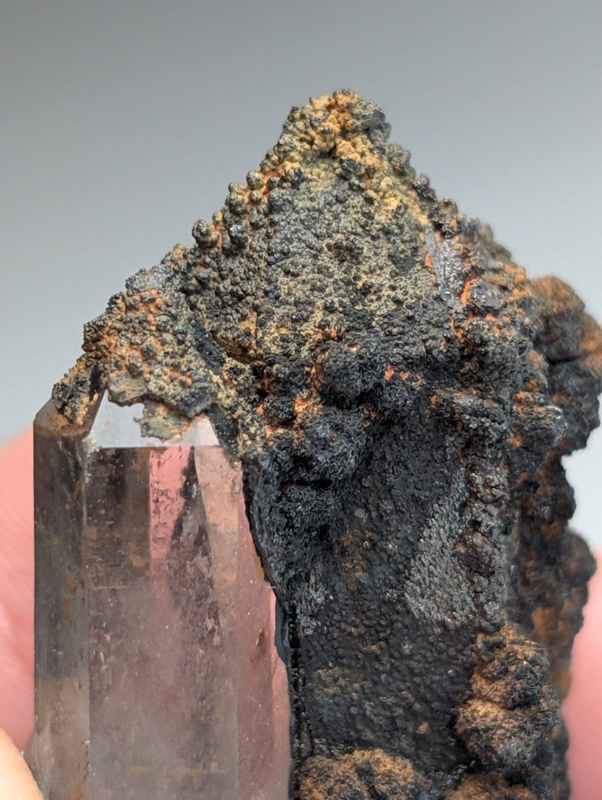 VERY Unique Goethite-capped Quartz Crystal, Montgomery County, Arkansas, USA
