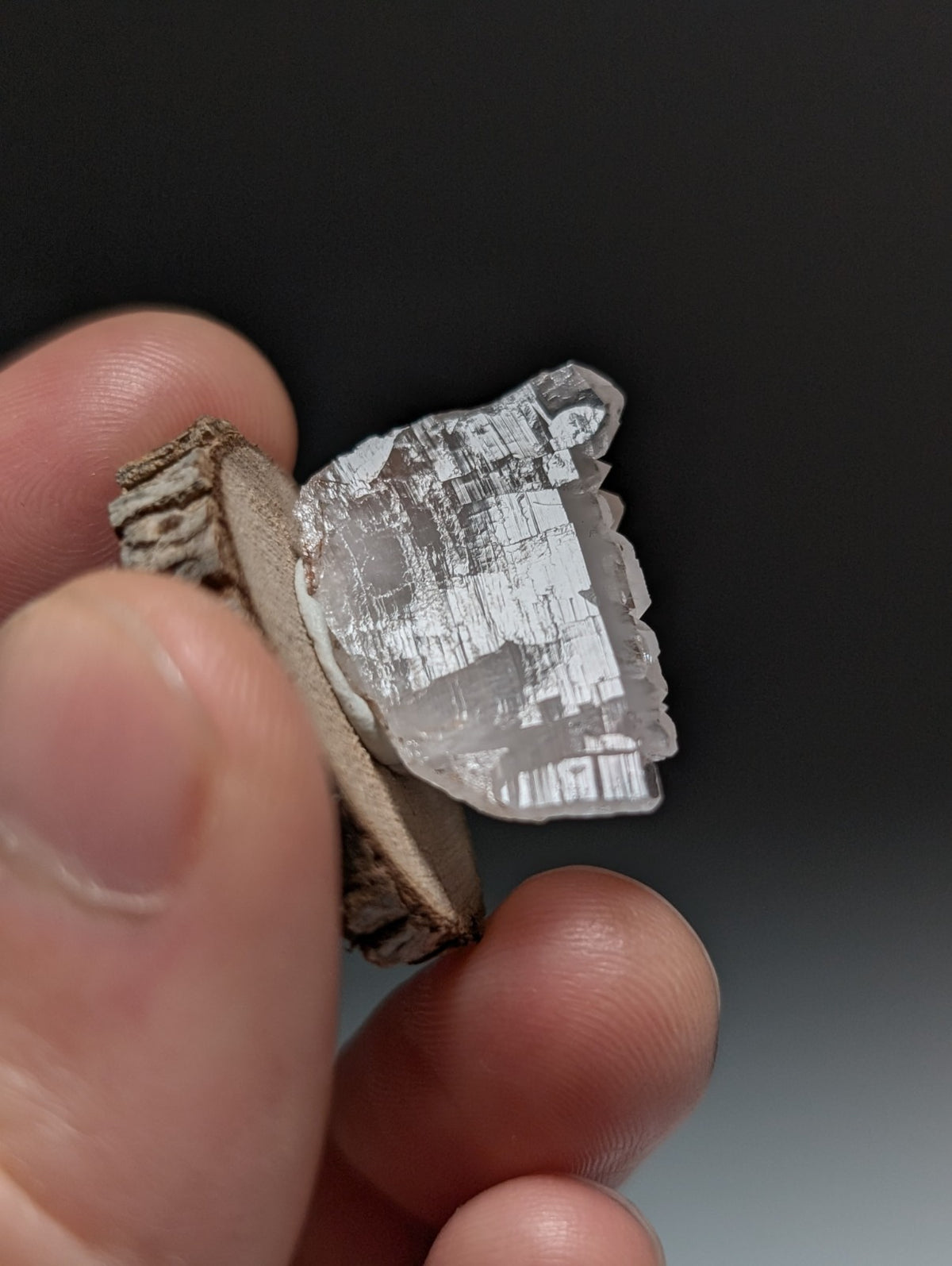 Parallel Growth Quartz Crystal, Montgomery County, Arkansas, w/natural wood base