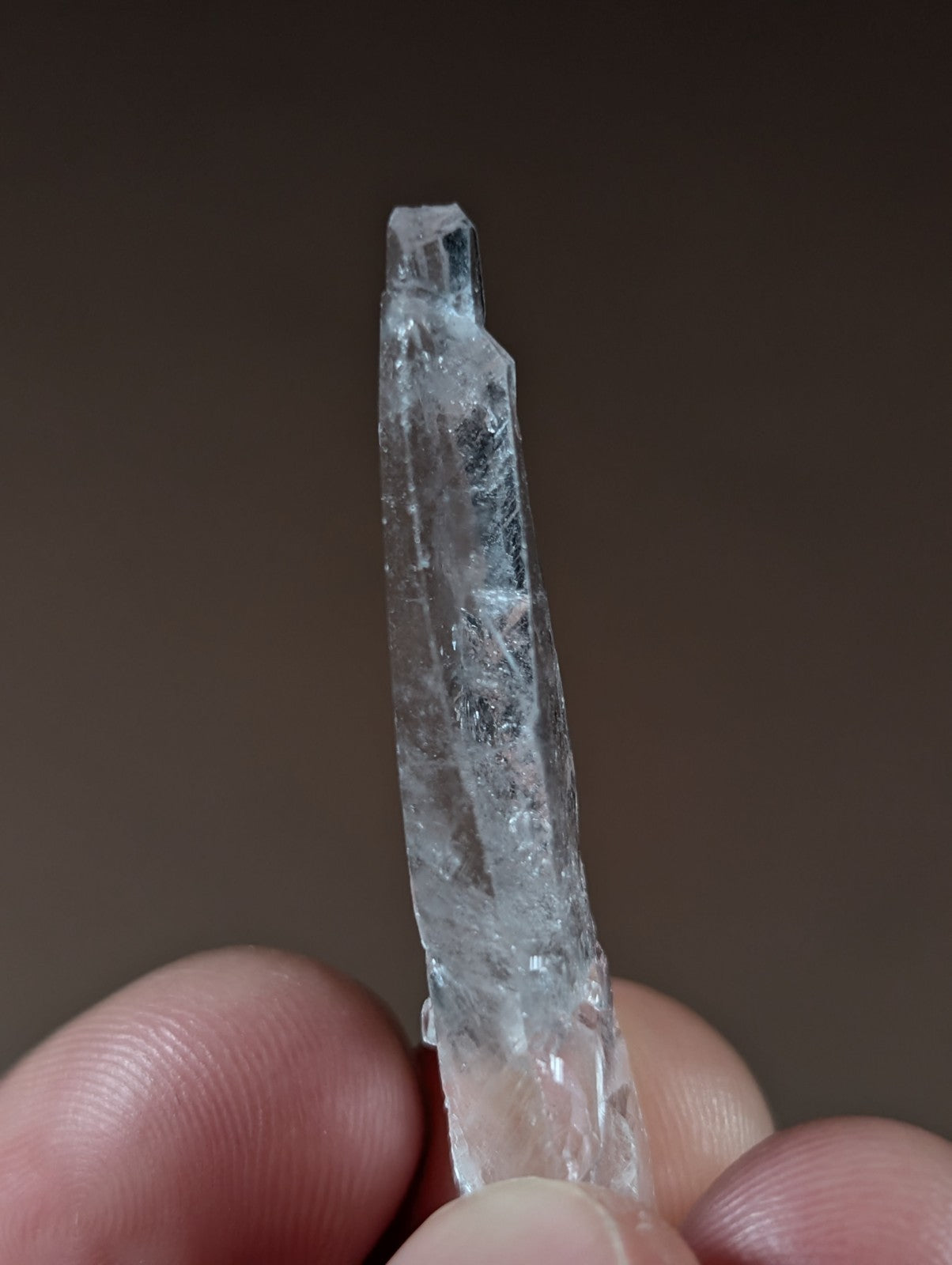 "Reverse Scepter" Quartz Crystal Point, Unique!, Garland County, Arkansas, USA