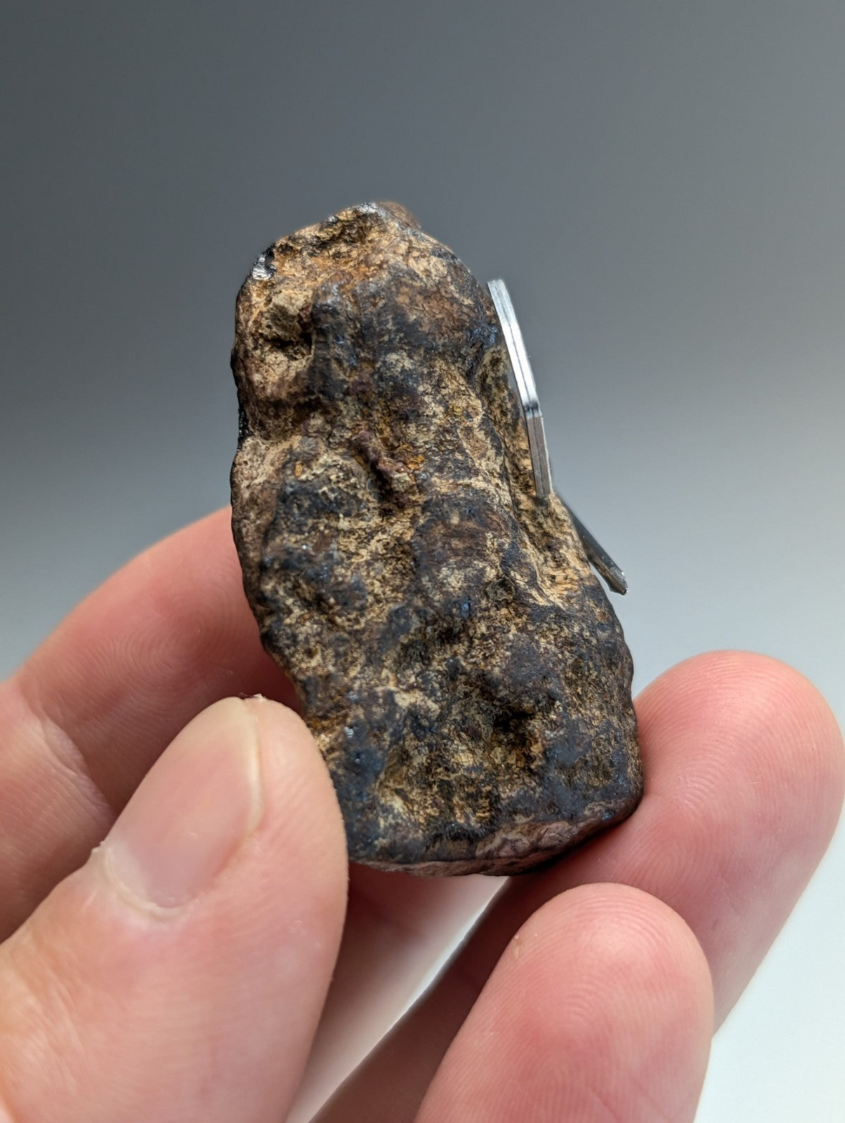 Magnetite (lodestone), Magnet Cove, Hot Spring County, Arkansas, Natural Magnet!