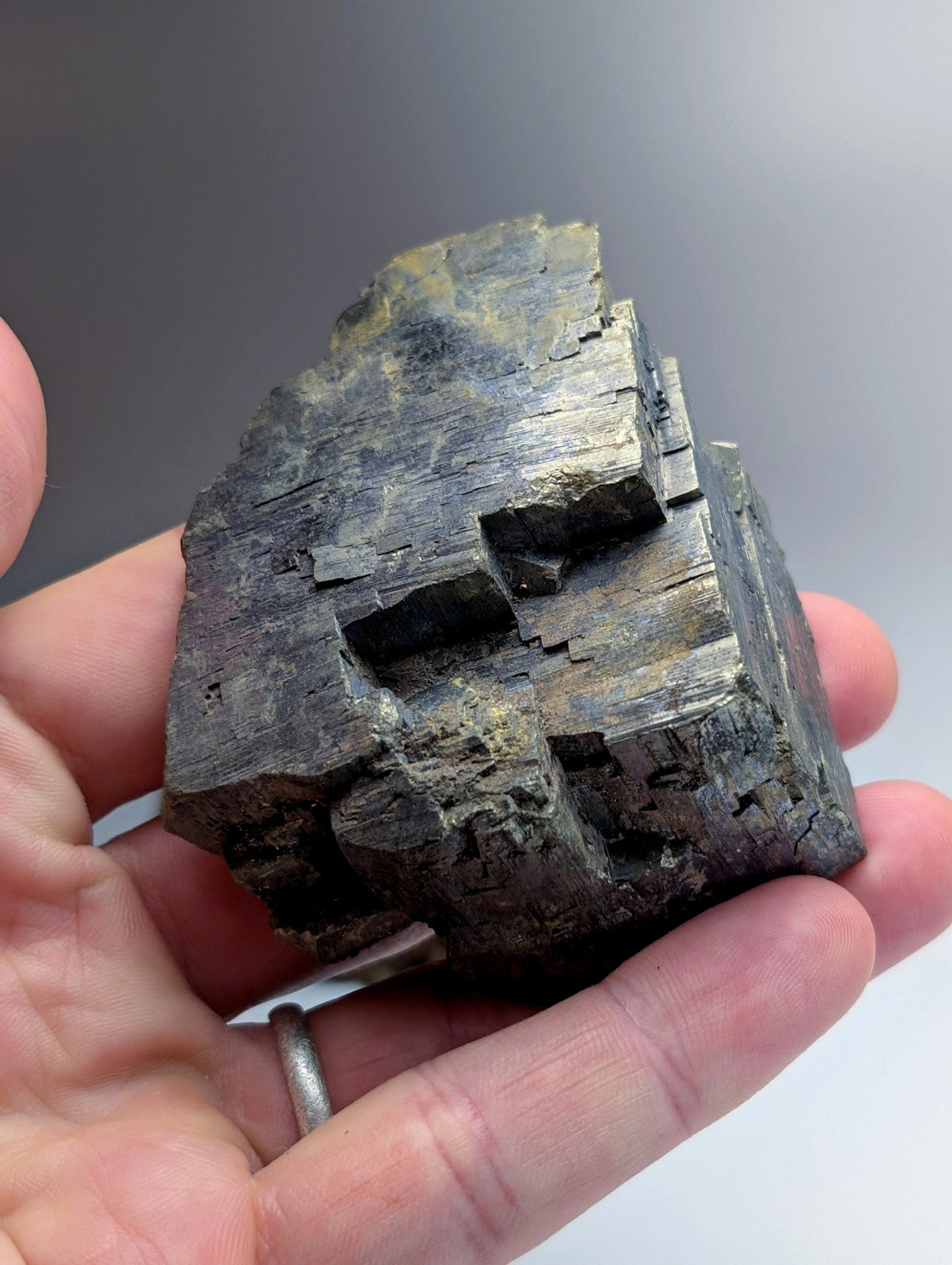 Pyrite with Molybdenum, Magnet Cove, Arkansas, USA, w/ wood display, ex Delinde