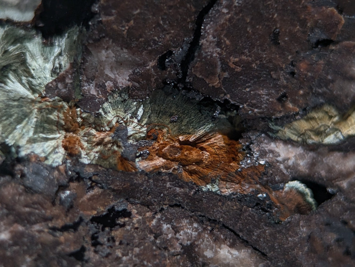 Rare Kidwellite specimen - Coon Creek Mine, Polk County, Arkansas, USA