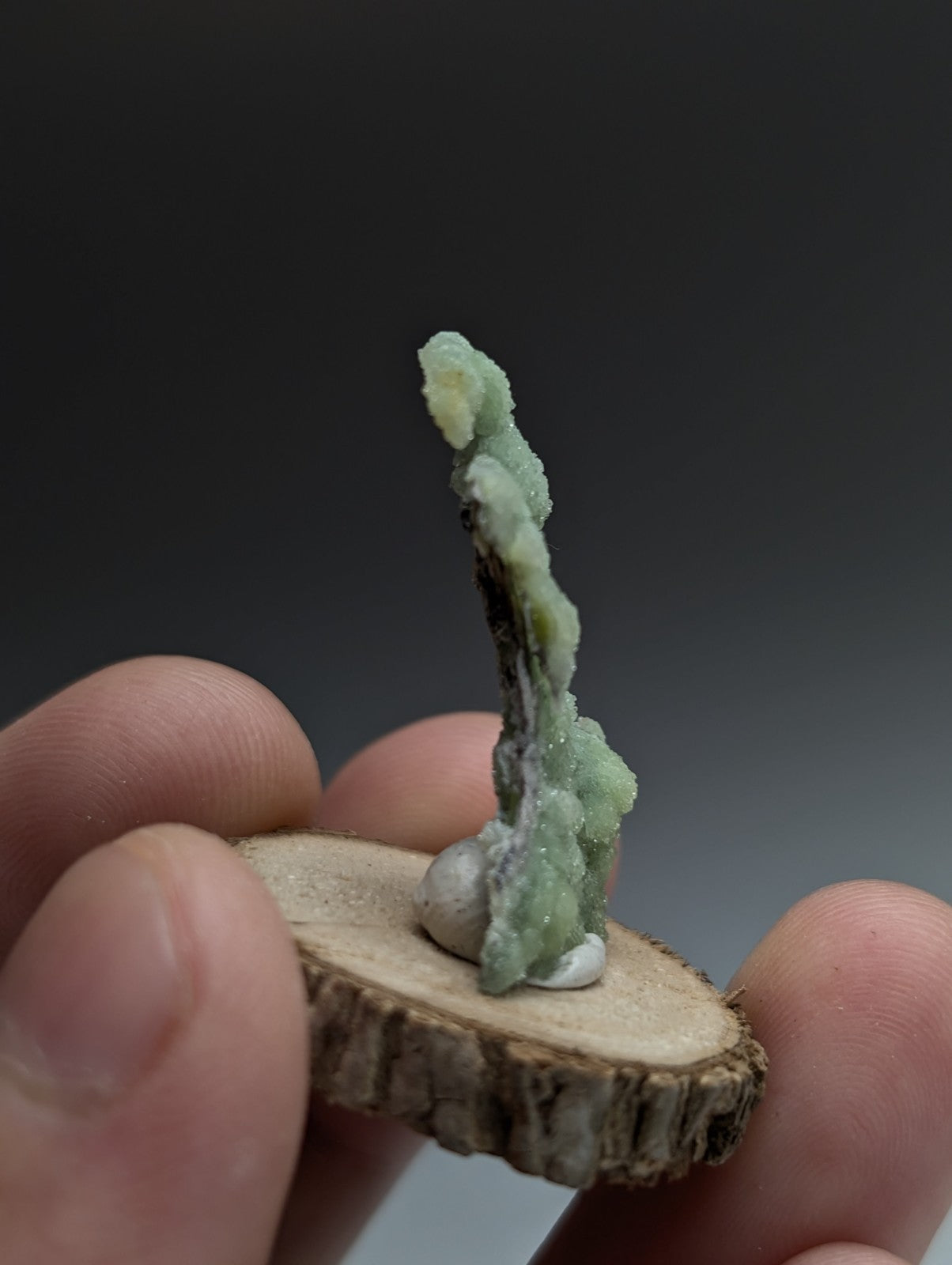 Very Unique Wavellite, Montgomery County, Arkansas, USA, w/ wood mount