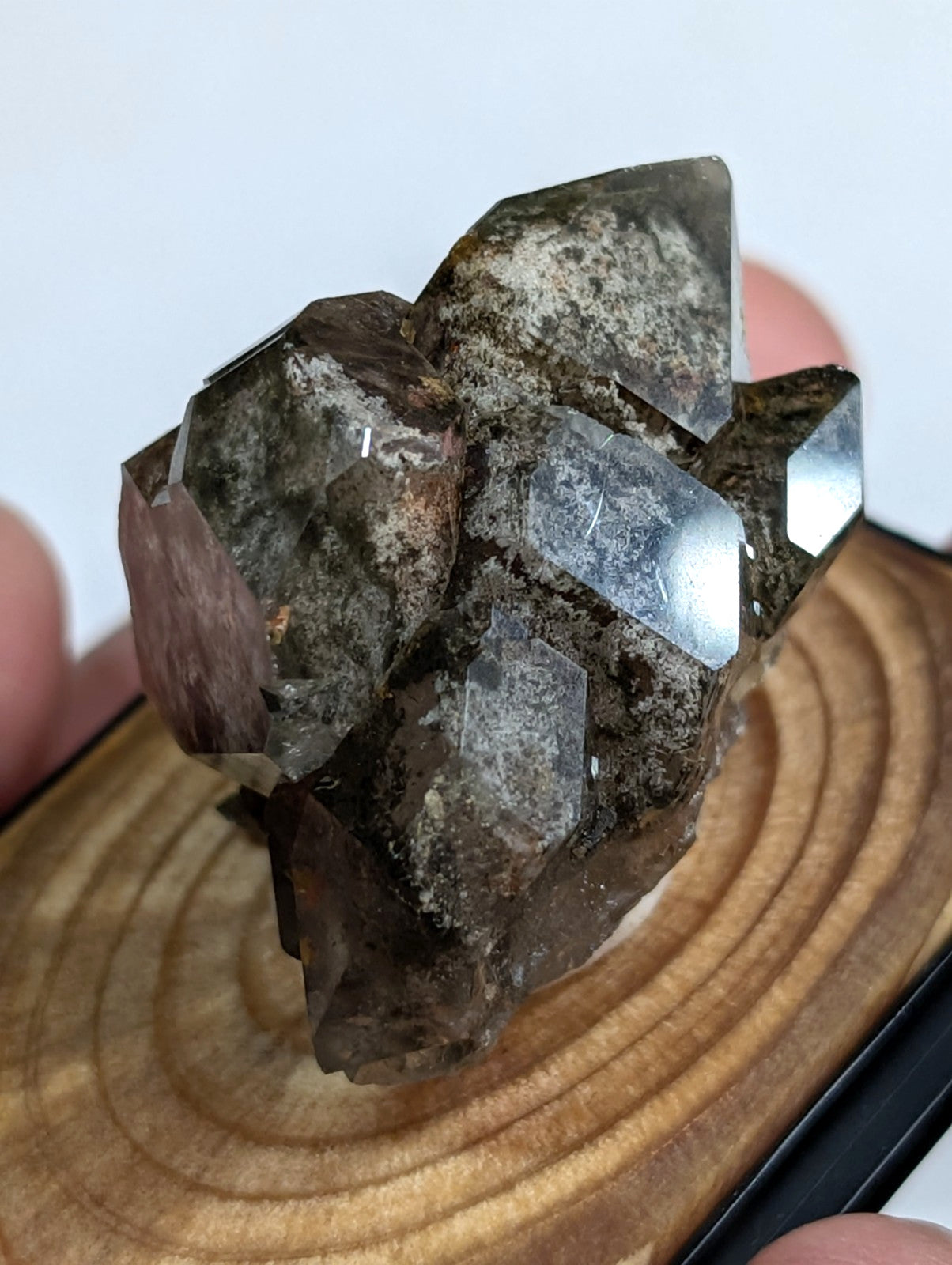UNIQUE Phantom Quartz, w/ wood mount + photo case  - Garland County, Arkansas
