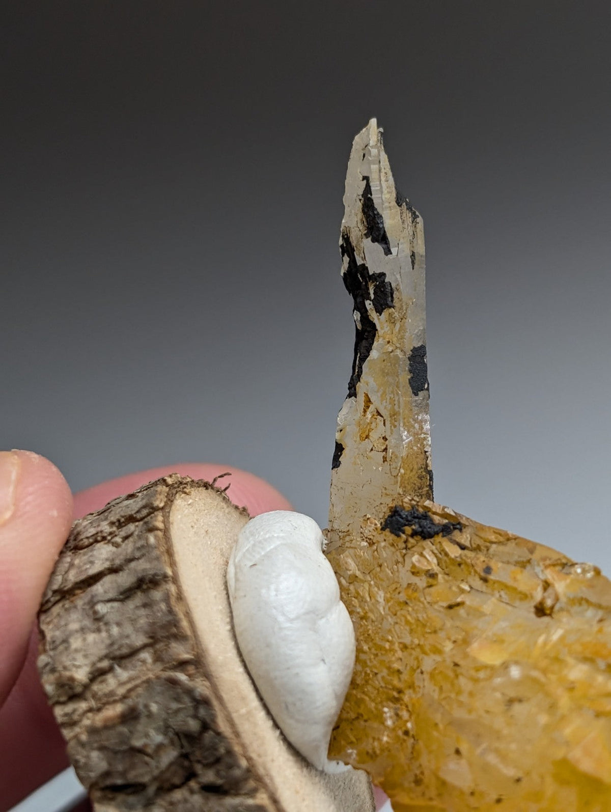 A+ Unique Quartz, Old Stock, Montgomery County, Arkansas, w/ natural wood base