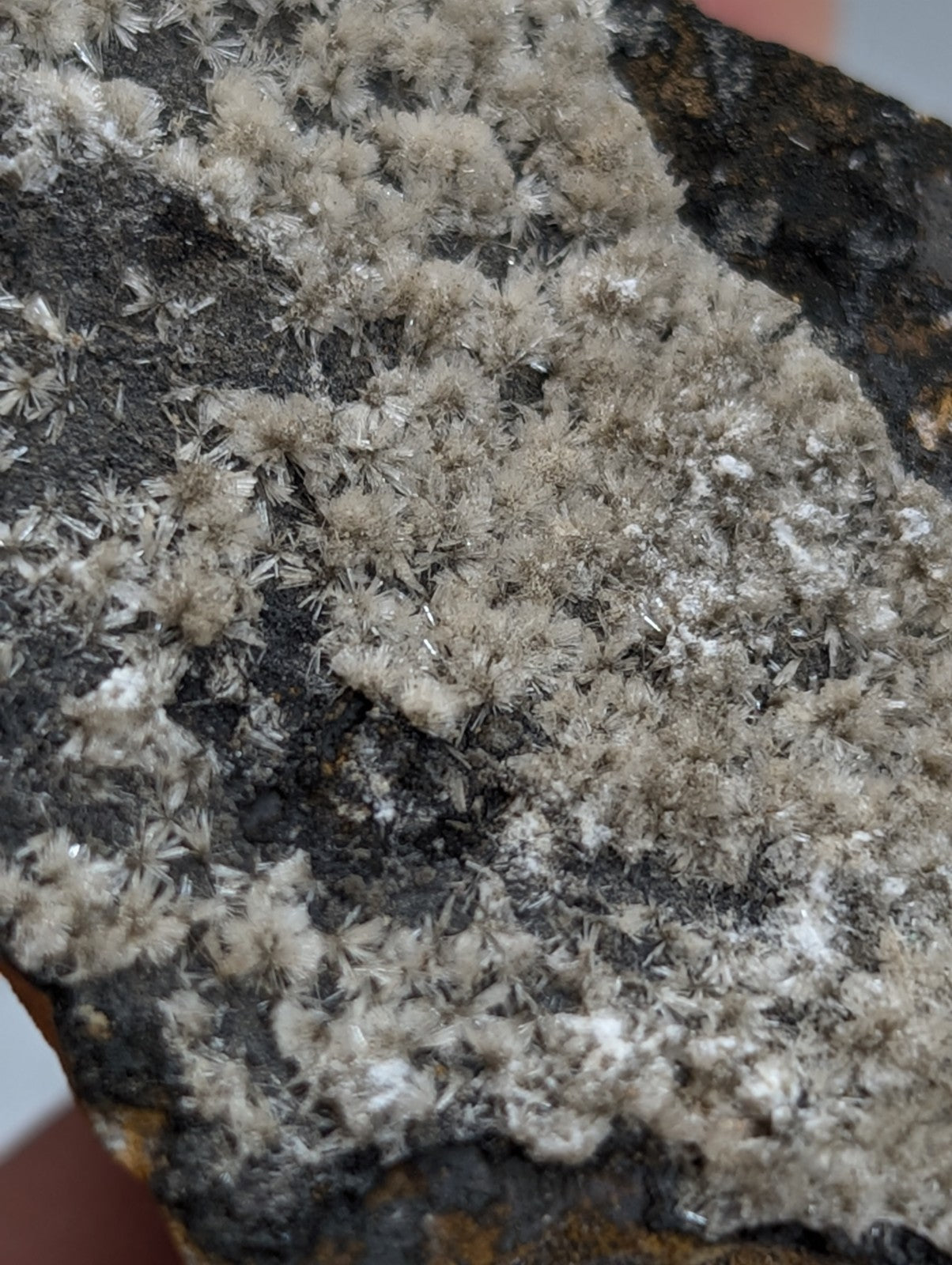 Wavellite - Potash Sulphur Springs, Garland County, Arkansas, ex Delinde, RARE
