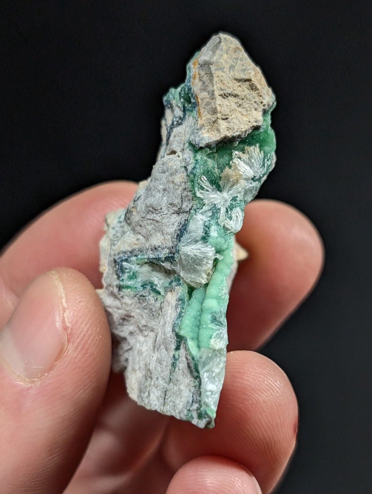 Wavellite on Variscite - 1960s Old Stock- Garland County, Arkansas - RARE