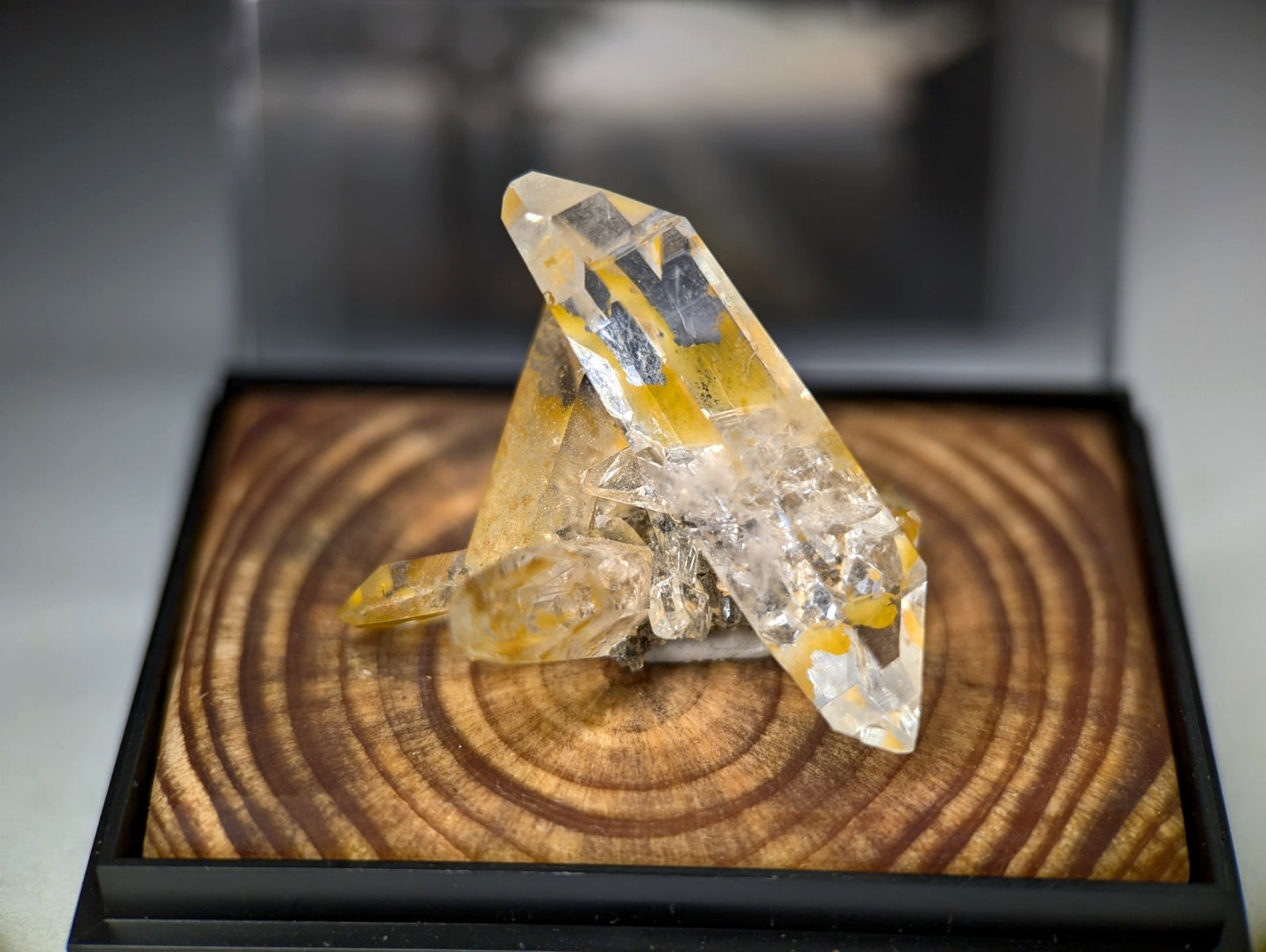 A+ Quartz Crystal Cluster, w/ wood mount + photo case - Garland County, Arkansas