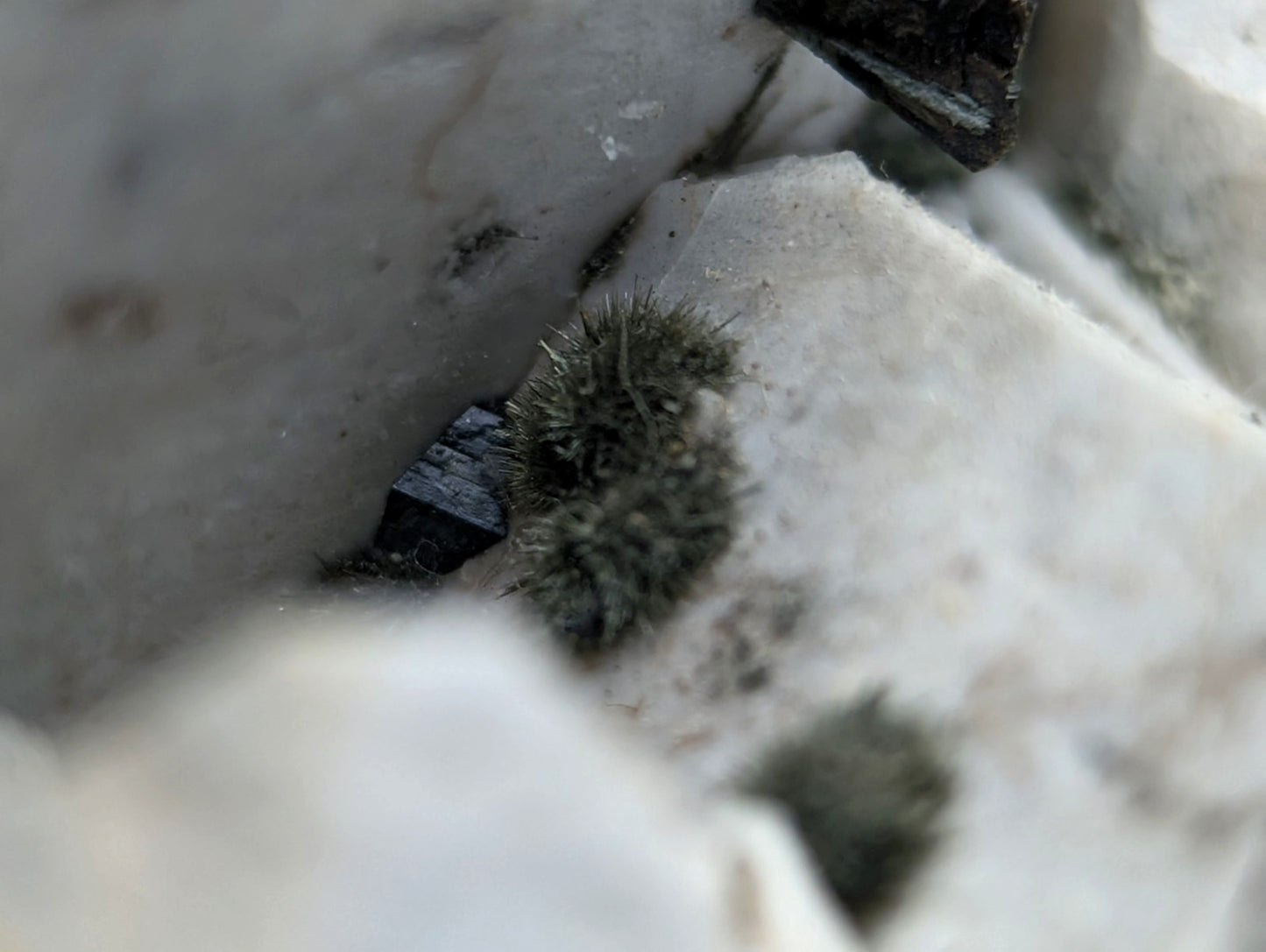 Albite, Biotite, Aegerine, Analcime, 3M Quarry, Little Rock, Arkansas, Delinde!