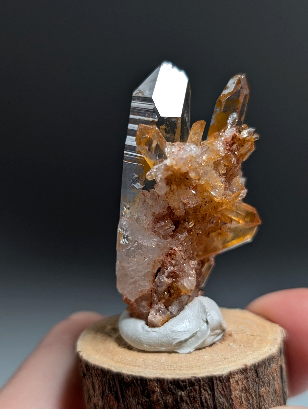 A+ Clear Quartz Crystal Cluster, Garland County, Arkansas, w/ natural wood base