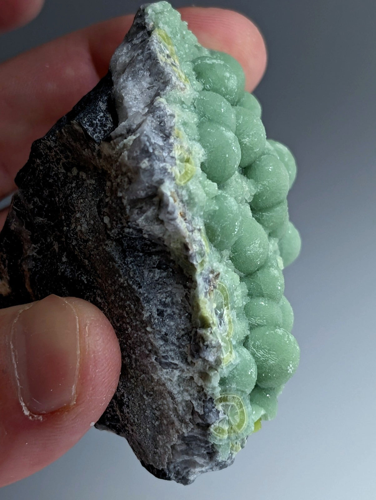 A+ Green Wavellite - Fantastic Old Stock - Mauldin Mountain, Arkansas, USA