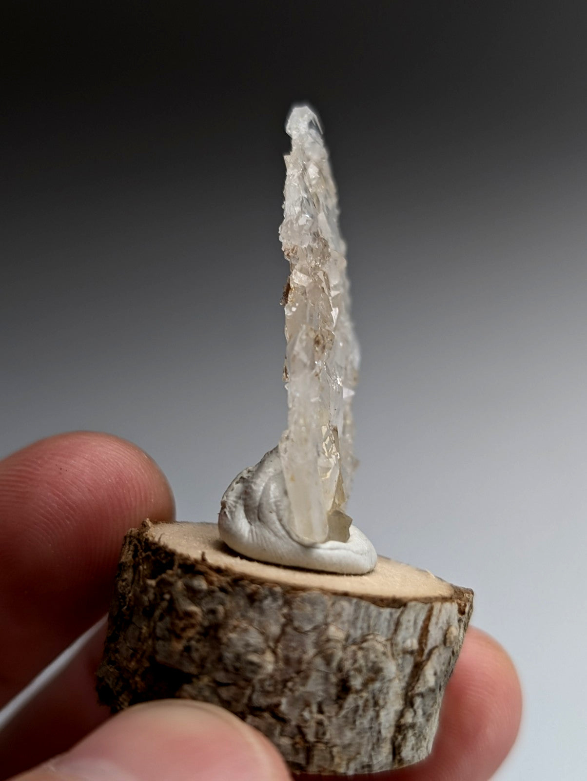 A+ Unique Quartz, Old Stock, Montgomery County, Arkansas, w/ natural wood base