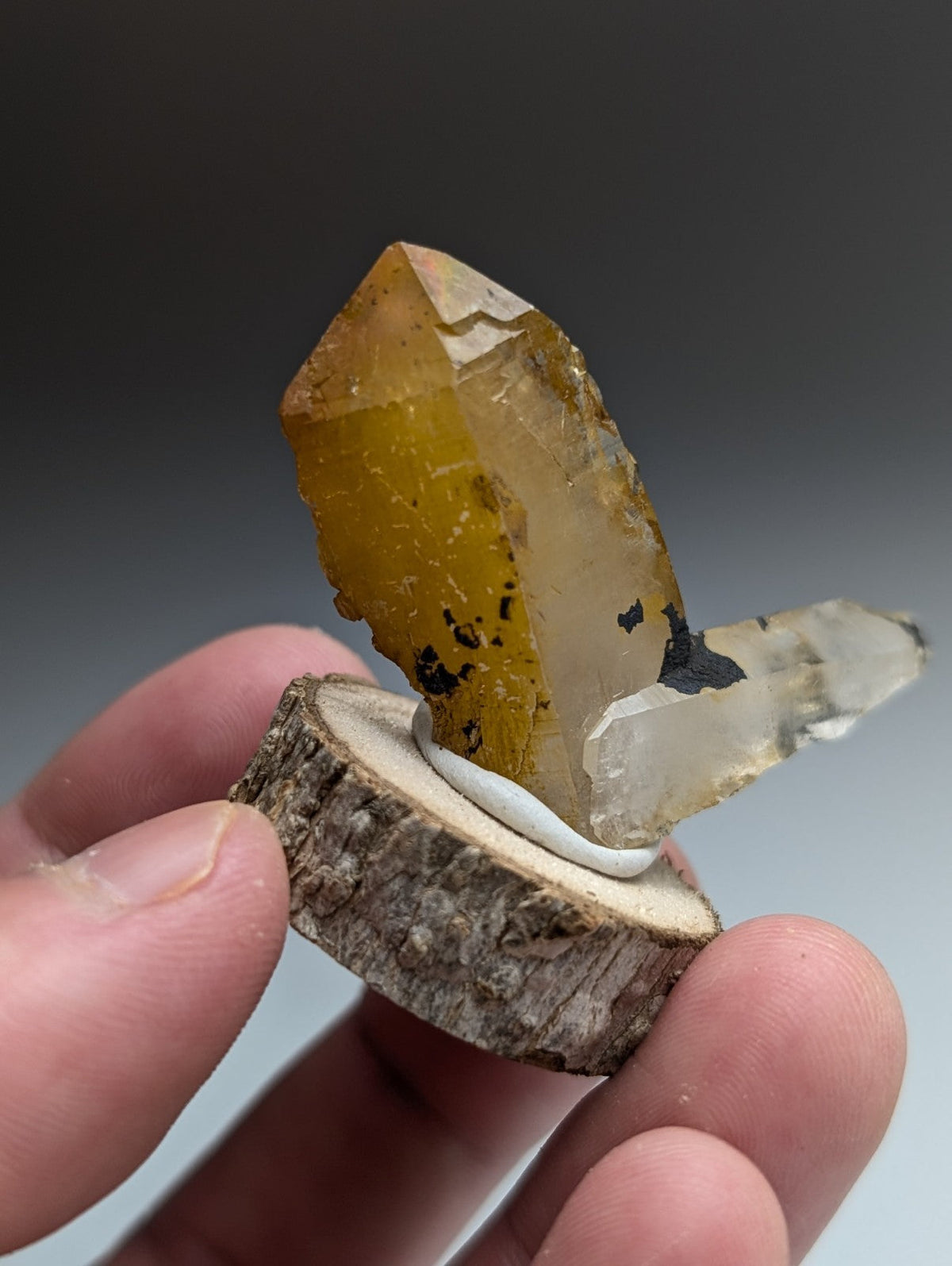 A+ Unique Quartz, Old Stock, Montgomery County, Arkansas, w/ natural wood base