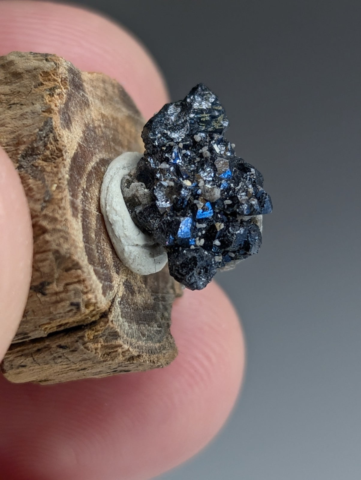A+ Unique Brookite Crystal, Magnet Cove, Arkansas, Old Stock, + wood stand