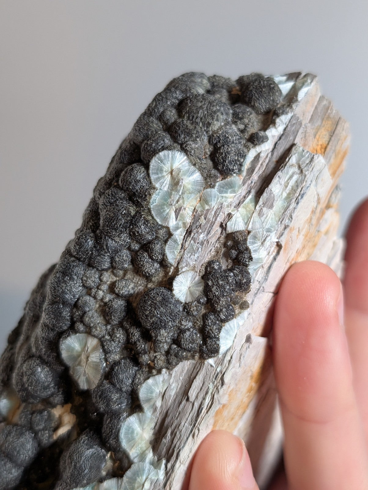 Black Wavellite - Fantastic Old Stock - Mauldin Mountain, Arkansas, USA, Rare