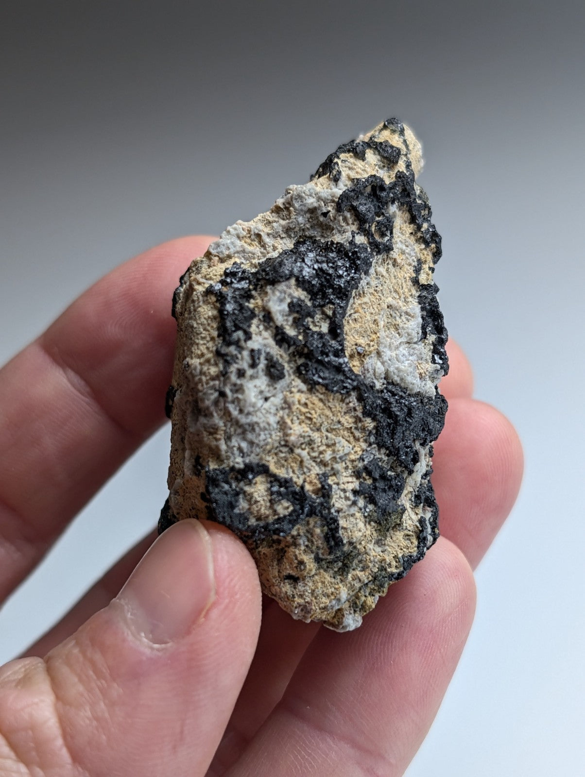 Garnet on Syenite matrix, Magnet Cove, Hot Spring County, Arkansas, Old Stock
