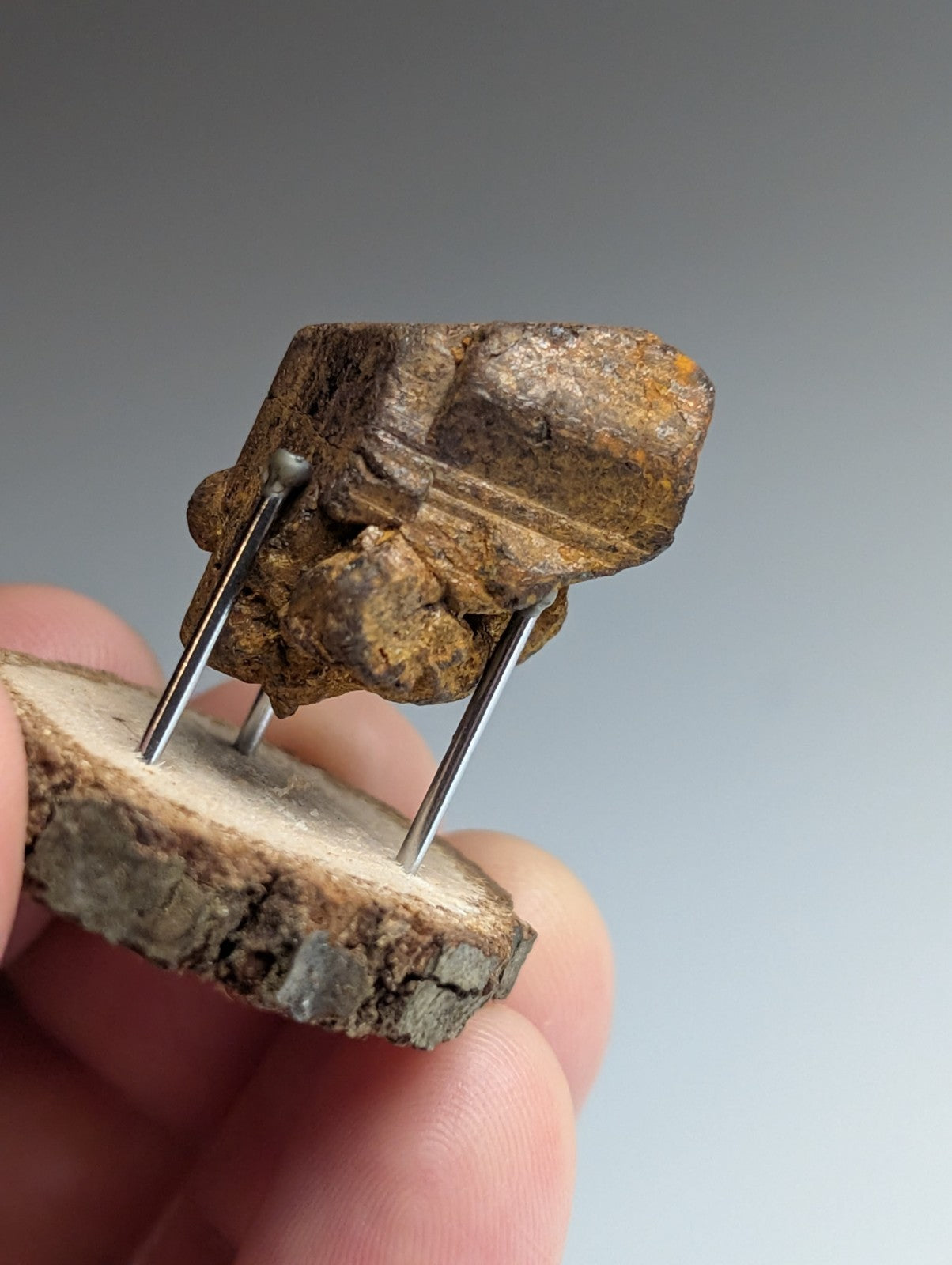 Goethite after Pyrite Pseudomorph, Magnet Cove, Arkansas,  w/ natural wood stand