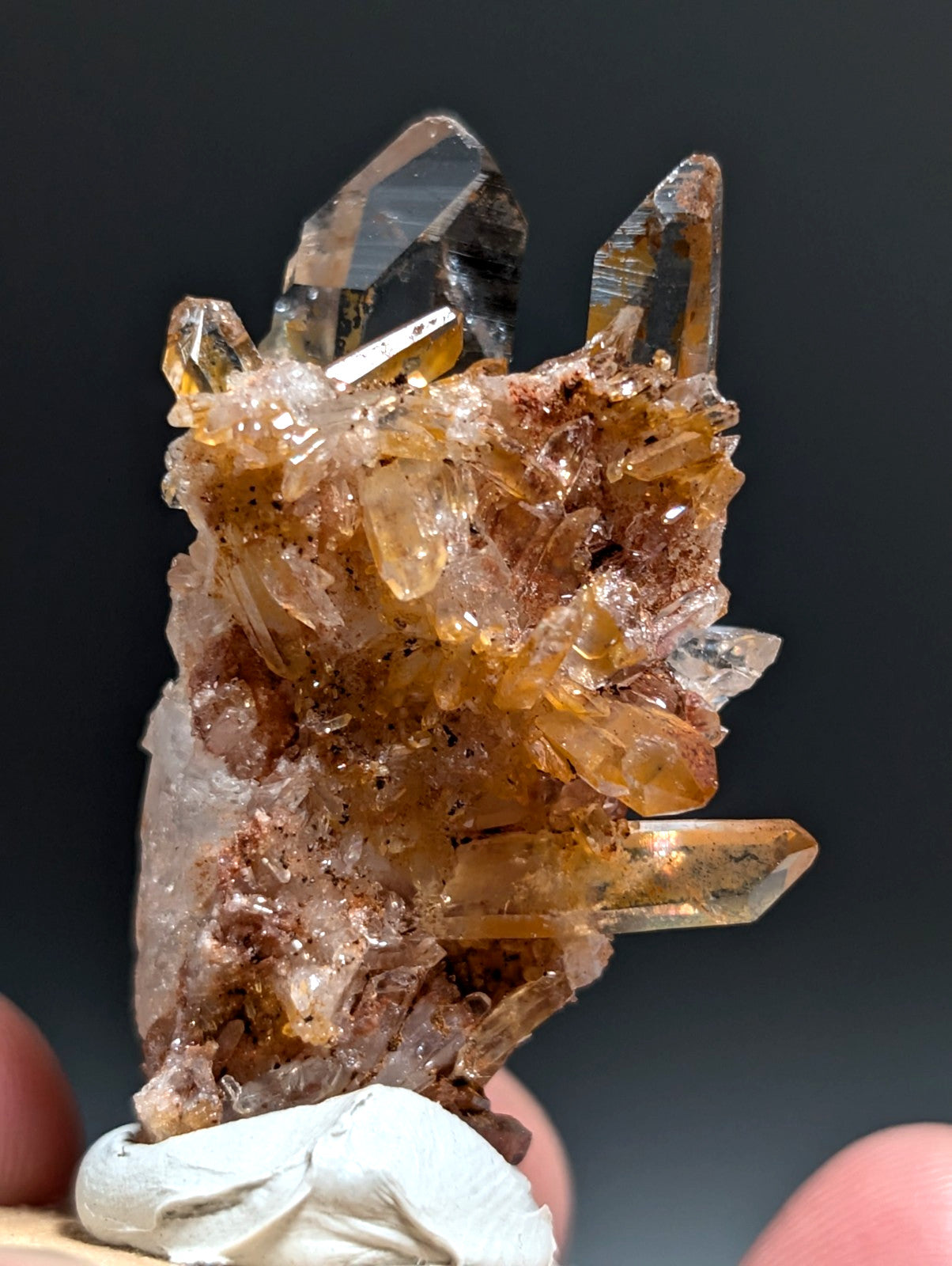 A+ Clear Quartz Crystal Cluster, Garland County, Arkansas, w/ natural wood base