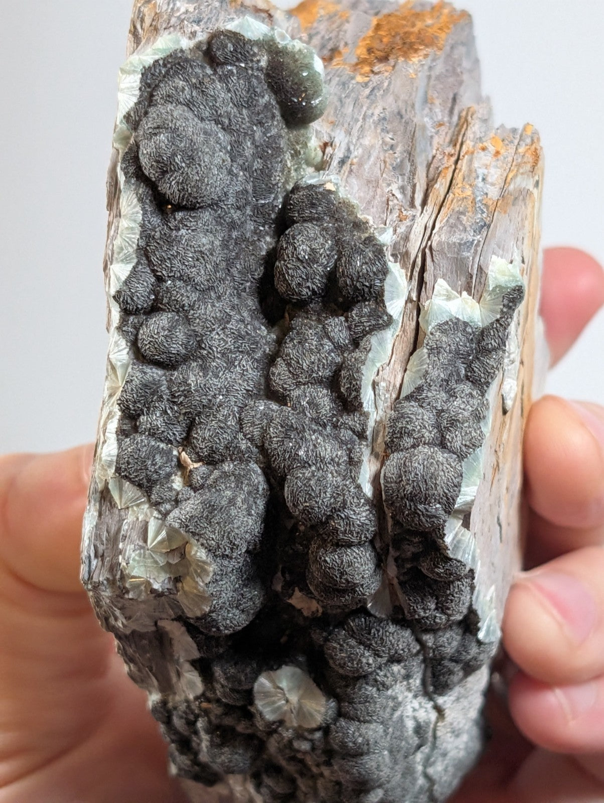 Black Wavellite - Fantastic Old Stock - Mauldin Mountain, Arkansas, USA, Rare
