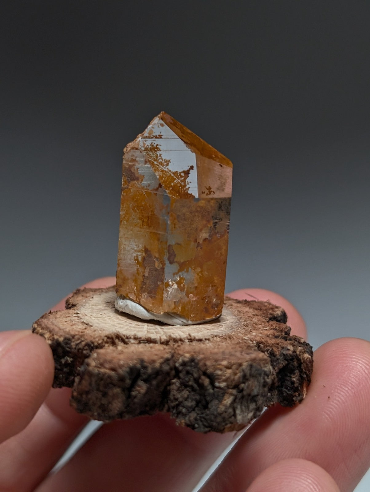 A+ Optical Quartz, Old Stock, Montgomery County, Arkansas, w/ natural wood base