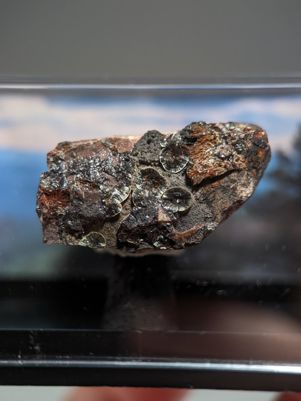Rare Kidwellite on Novaculite - Coon Creek, Polk County, Arkansas, w/ photo case