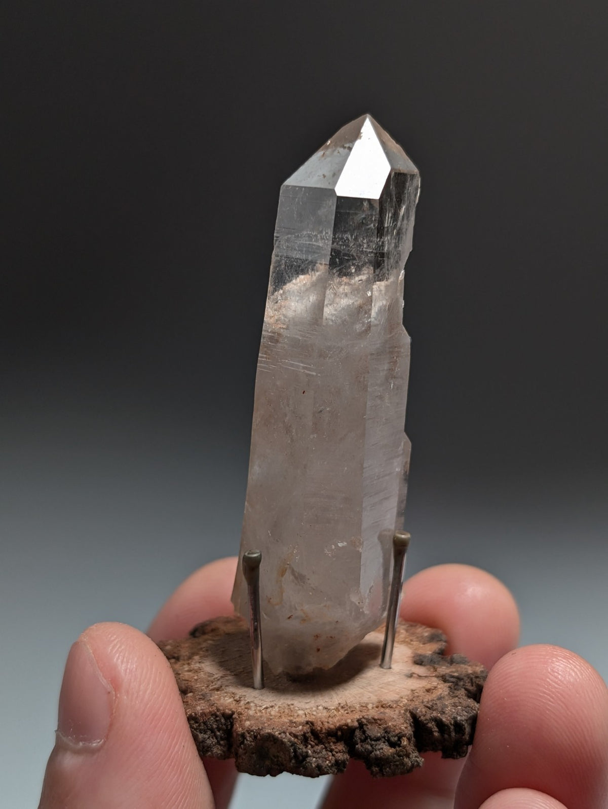 Quartz Crystal Point, Old Stock, Montgomery County, Arkansas, USA