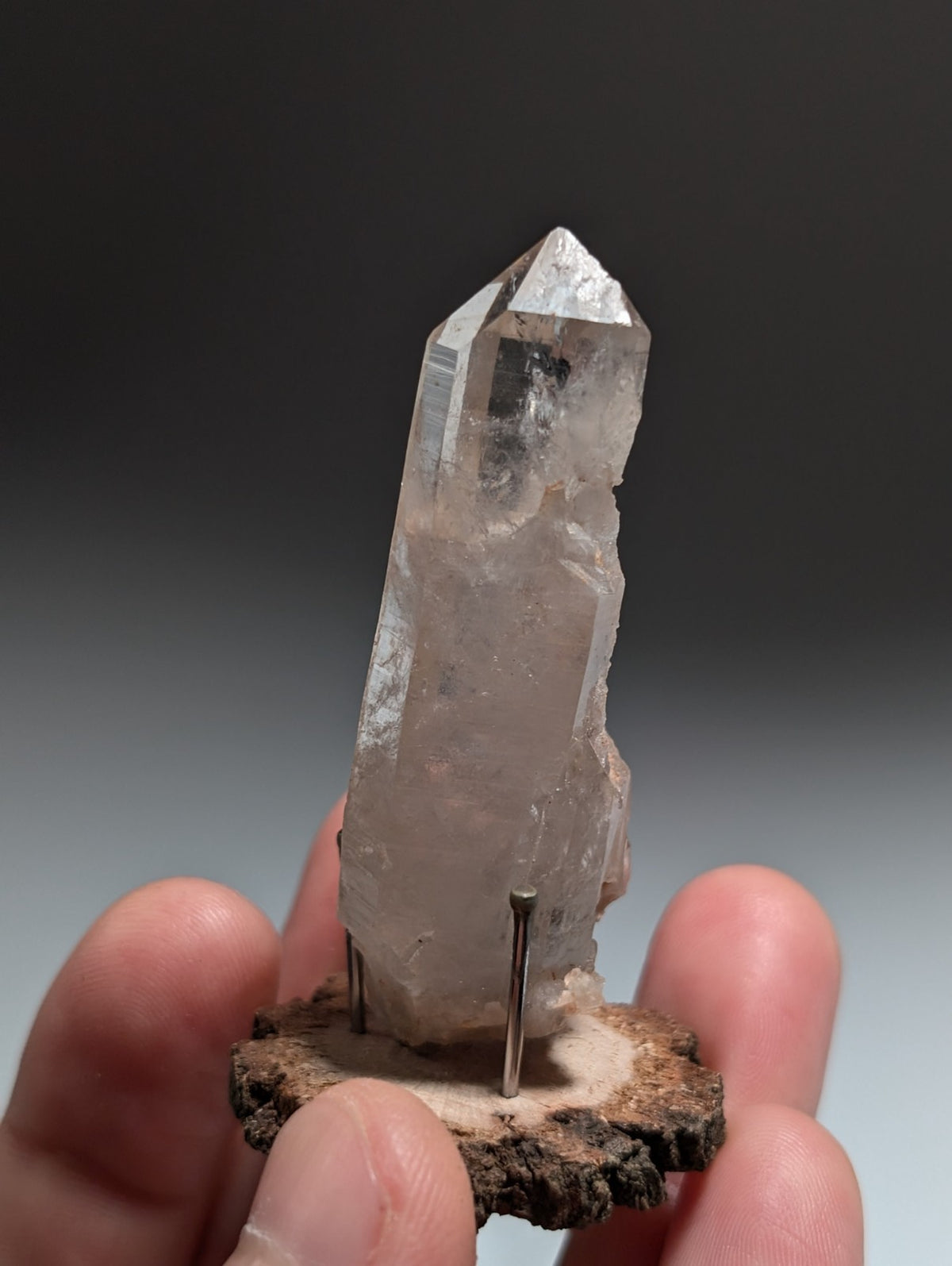 Quartz Crystal Point, Old Stock, Montgomery County, Arkansas, USA