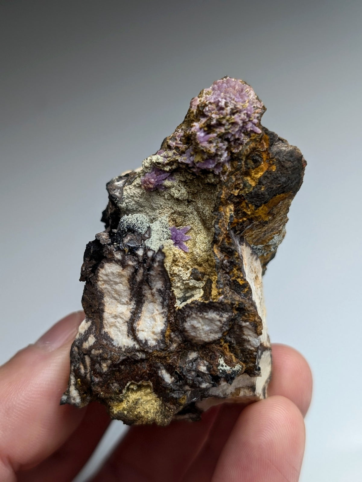 Super Rare Strengite + Kidwellite, etc, Coon Creek Mine, Polk Co, Arkansas, A+++