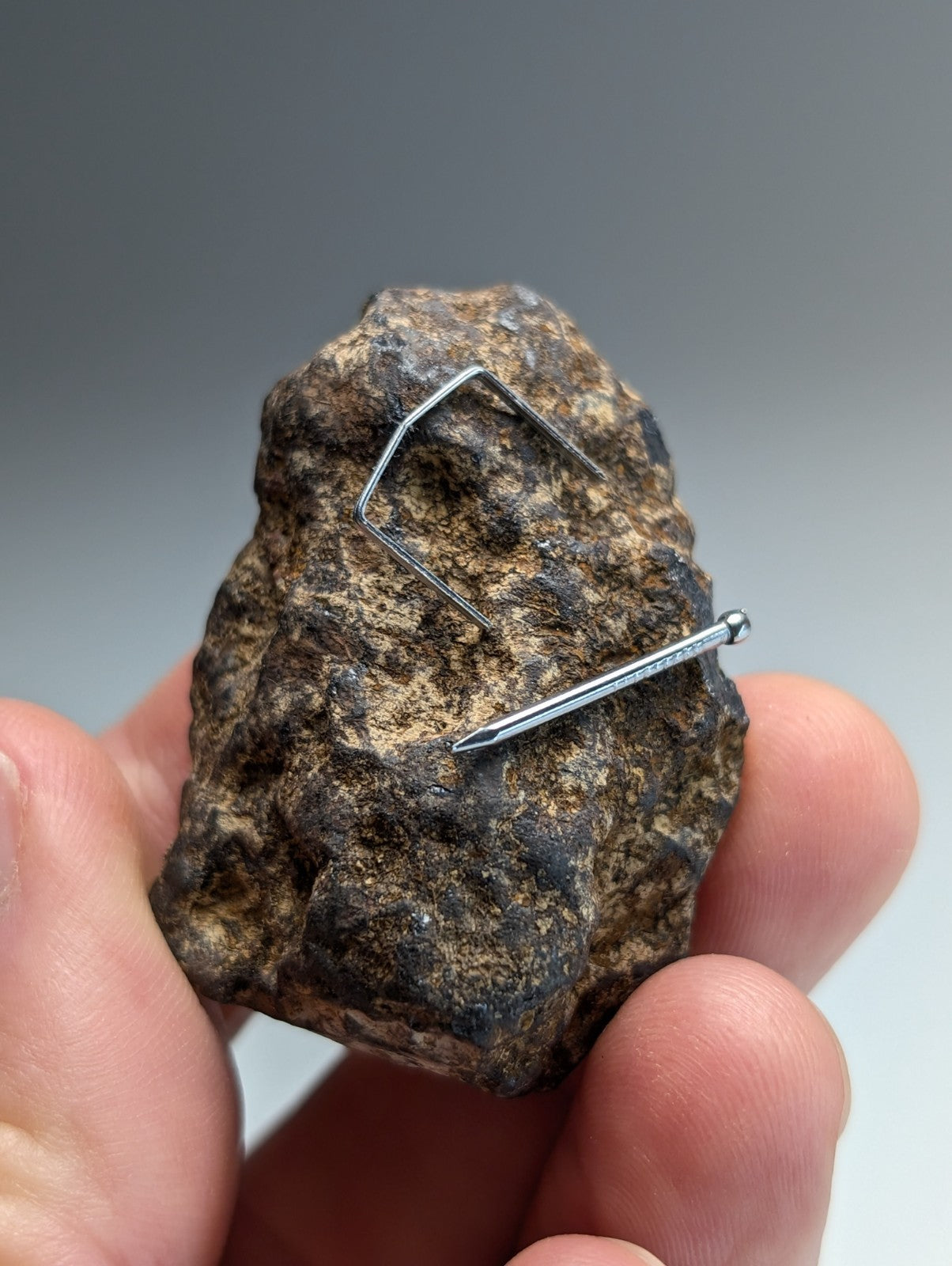 Magnetite (lodestone), Magnet Cove, Hot Spring County, Arkansas, Natural Magnet!