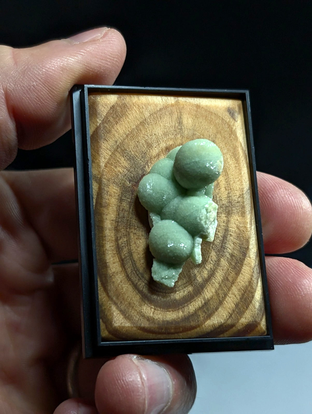 Wavellite, w/ wood mount + photo case - Old Stock - Montgomery County, Arkansas