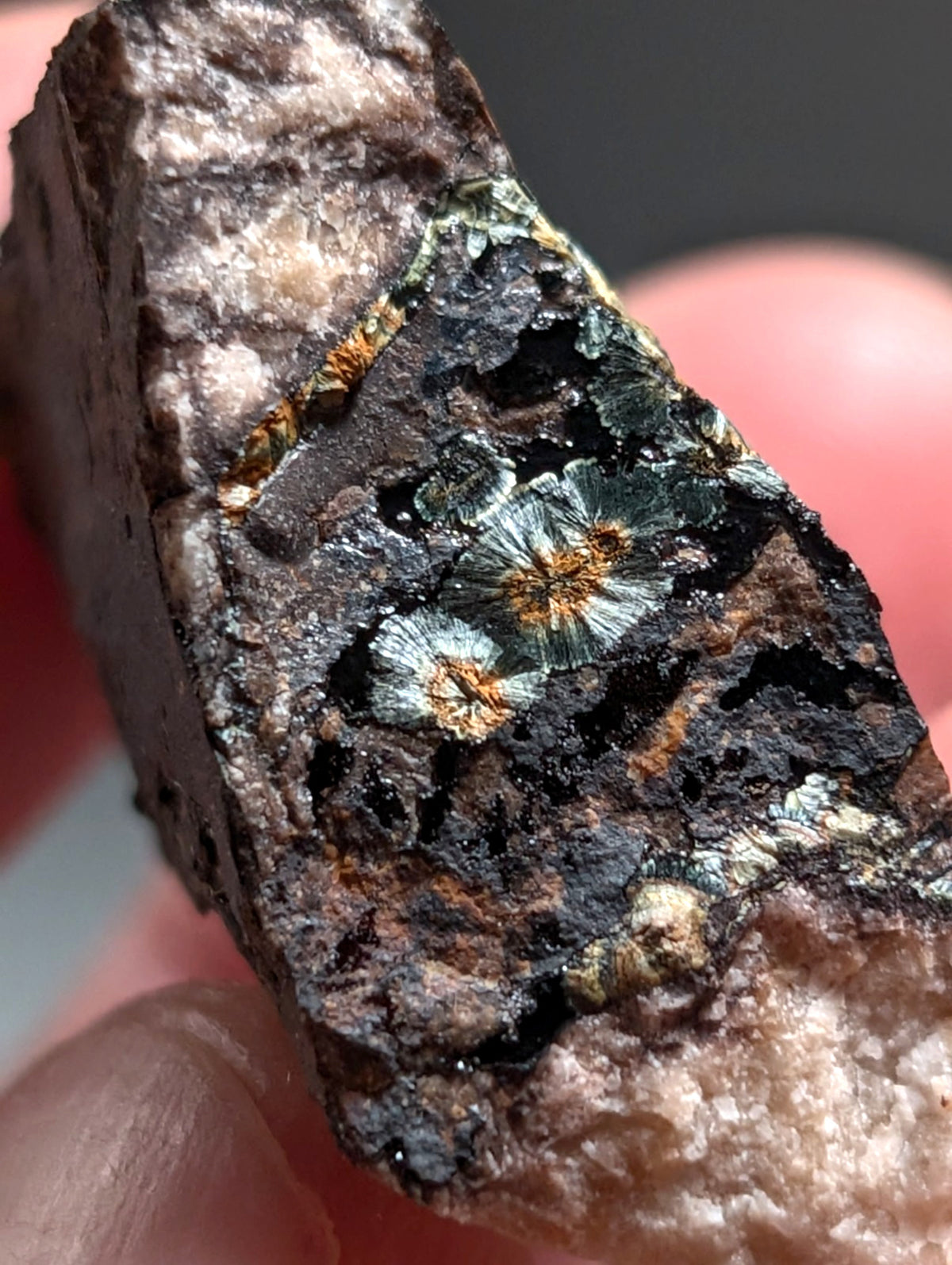 Rare Kidwellite specimen - Coon Creek Mine, Polk County, Arkansas, USA