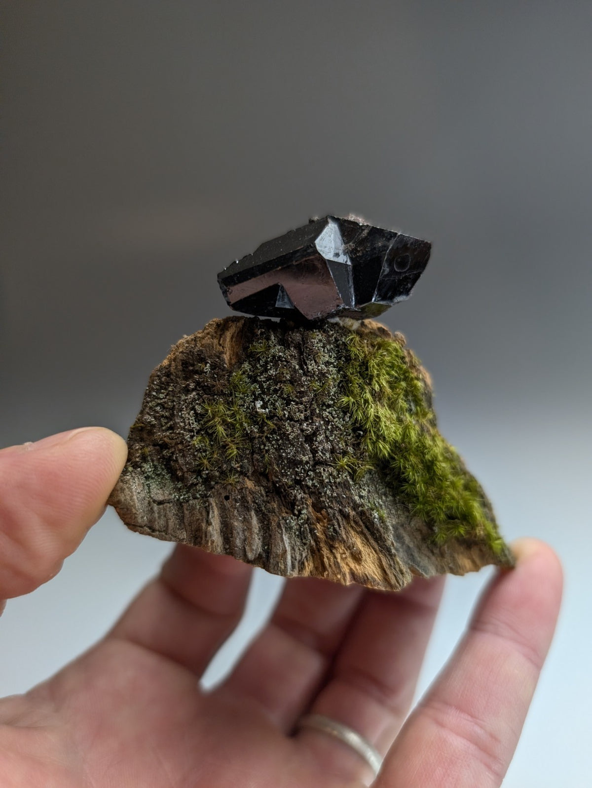 A+ Twinned Rutile Crystal, Graves Mountain, Georgia, USA,  Rare Old Stock