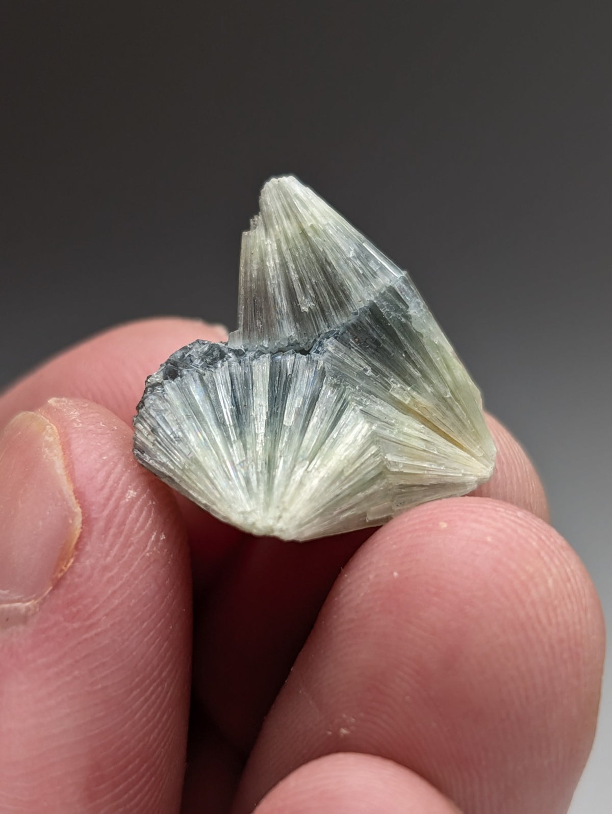 Unique Wavellite  - Old Stock - Delinde Mine, 1960s - Garland County, Arkansas